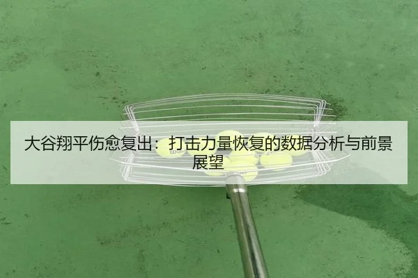 da-gu-xiang-ping-shang-yu-fu-chu-da-ji-li-liang-hui-fu-de-shu-ju-fen-xi-yu-qian-jing-zhan-wang-2-239.jpg