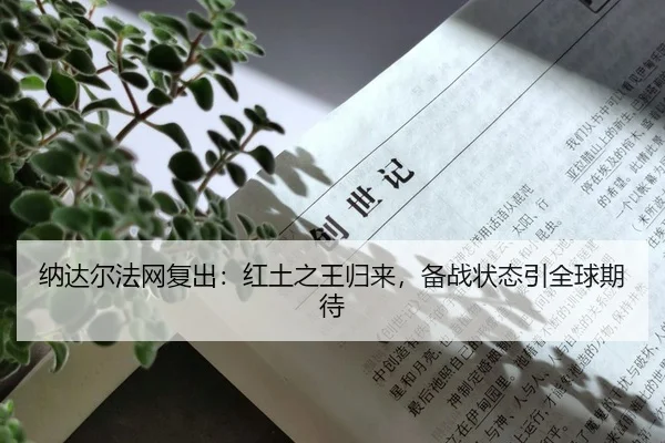 na-da-er-fa-wang-fu-chu-hong-tu-zhi-wang-gui-lai-bei-zhan-zhuang-tai-yin-quan-qiu-qi-dai-2-280.jpg