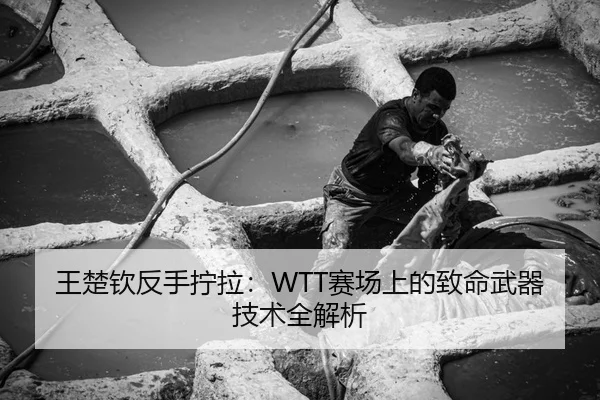 王楚钦反手拧拉：WTT赛场上的致命武器技术全解析