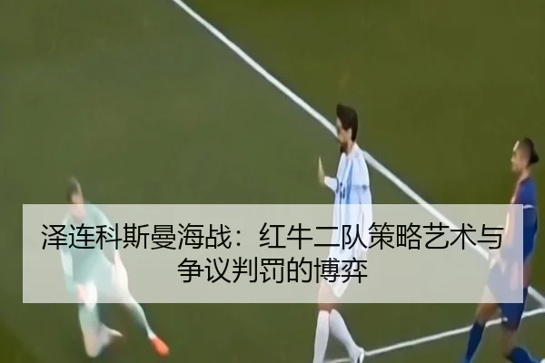 ze-lian-ke-si-man-hai-zhan-hong-niu-er-dui-ce-lve-yi-shu-yu-zheng-yi-pan-fa-de-bo-yi-3-658.jpg