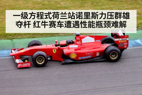 一级方程式荷兰站诺里斯力压群雄夺杆 红牛赛车遭遇性能瓶颈难解