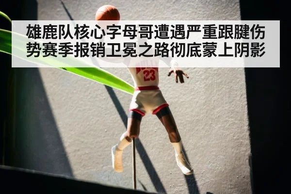 雄鹿队核心字母哥遭遇严重跟腱伤势赛季报销卫冕之路彻底蒙上阴影
